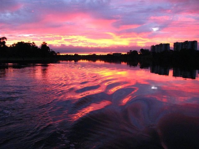 Early Morning Sunrise on the Swan